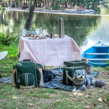 A picnic with a dog on a blanket next to a lake.
