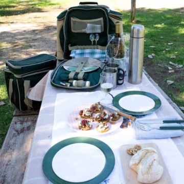 Picnic scene with a 2 person picnic backpack set up.