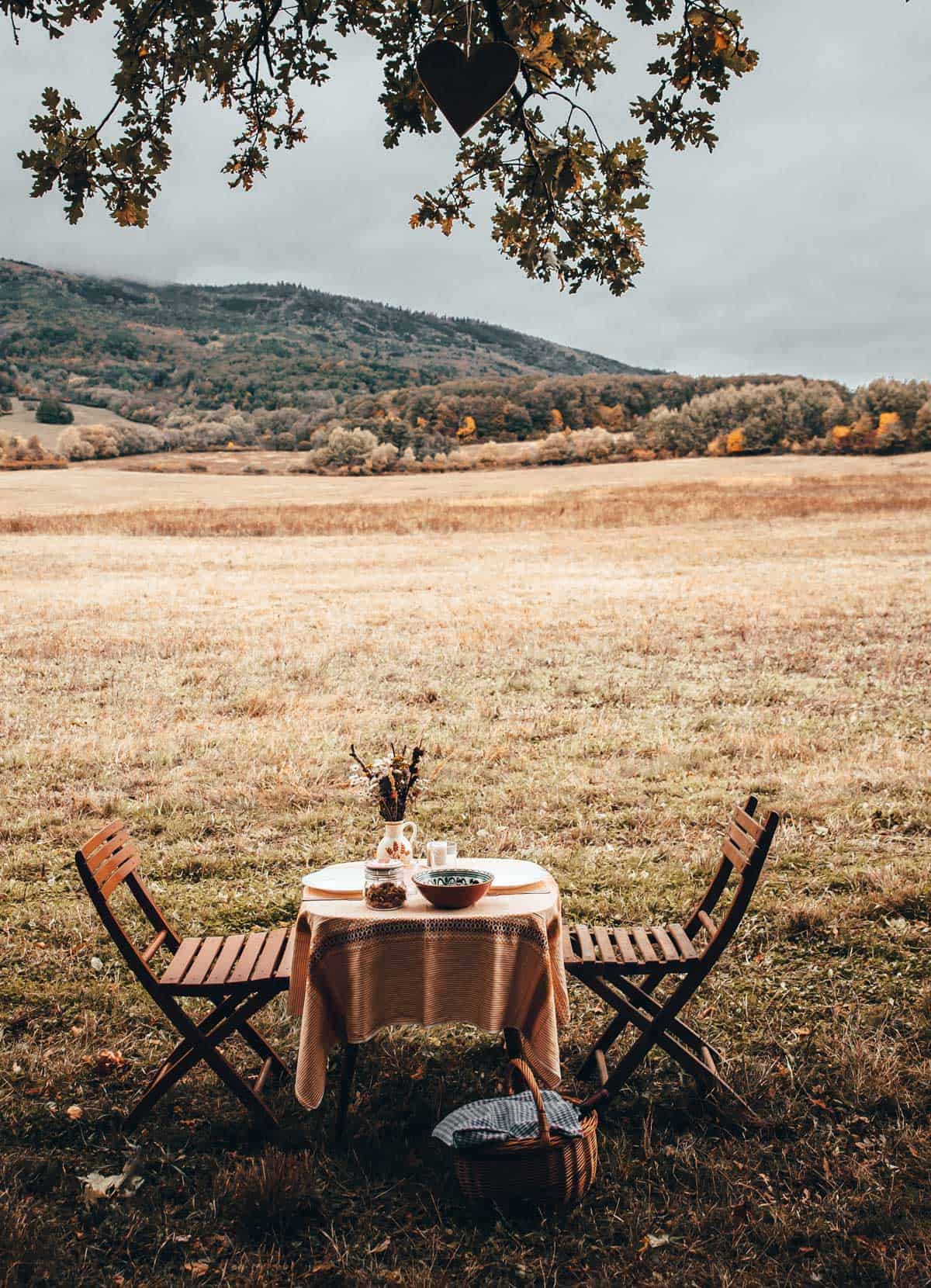 A fall themed picnic table and chairs in a field with a tree in the background.