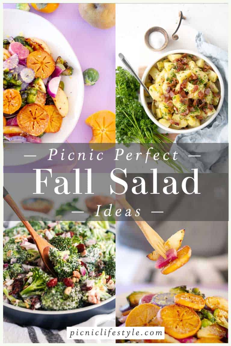 Collage of fall salads with text overlay "picnic perfect fall salad ideas. 