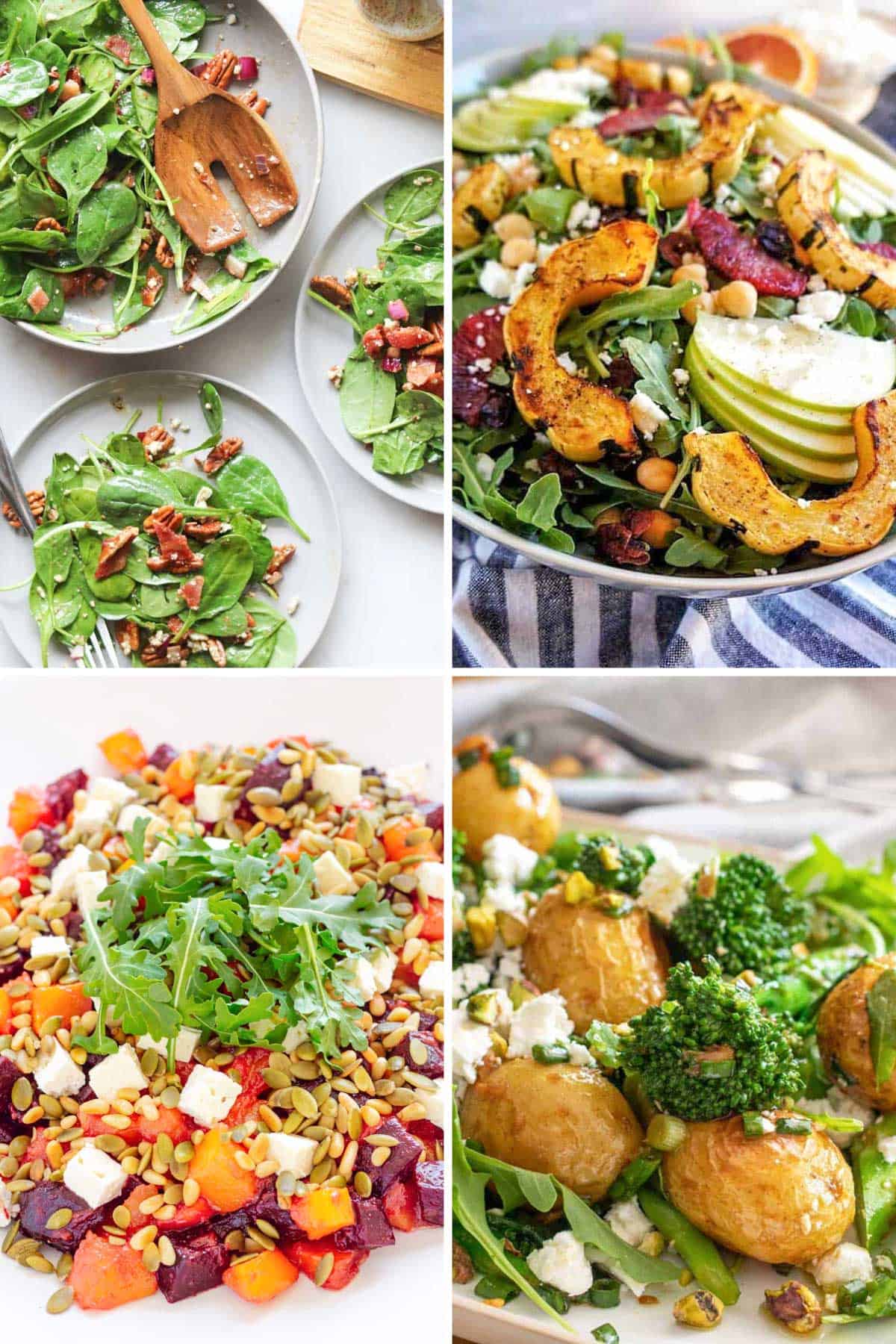 A collage of four plates of fall salads, each with various greens, vegetables, and toppings, including nuts, cheese, potatoes, and grilled squash.