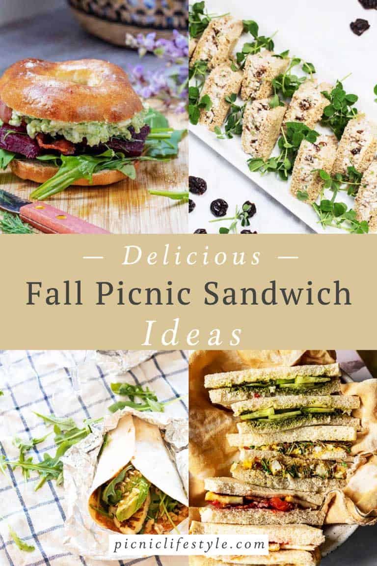 Collage of Fall picnic sandwich ideas. 