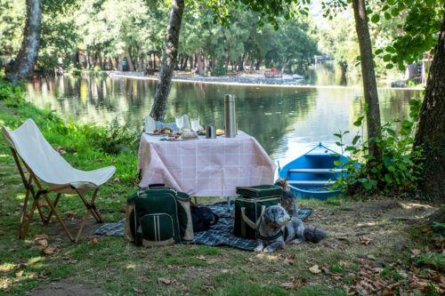 Charming Picnic scene by a river with small dog next to the picnic table.