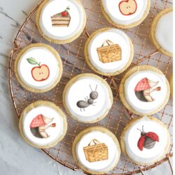 Cupcakes on a wire rack decorated with images of an apple slice, picnic basket, ant, hedgehog with a cup, and ladybug.