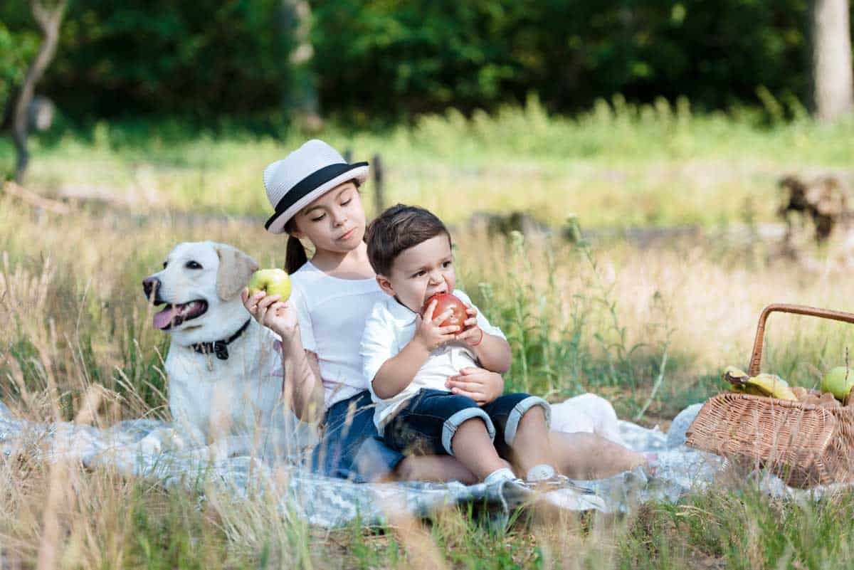 Young girl holding her baby brother on a picnic blanket eating apples. 