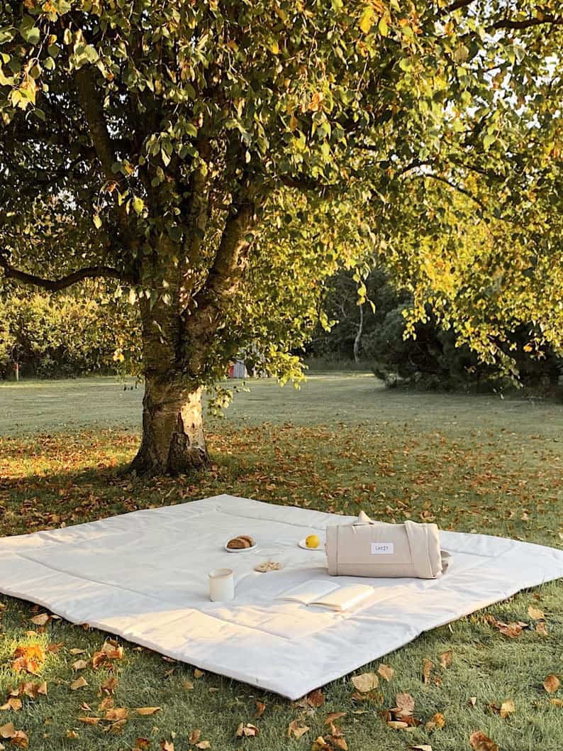Picnic scene under a tree with a comfortable picnic blanket.