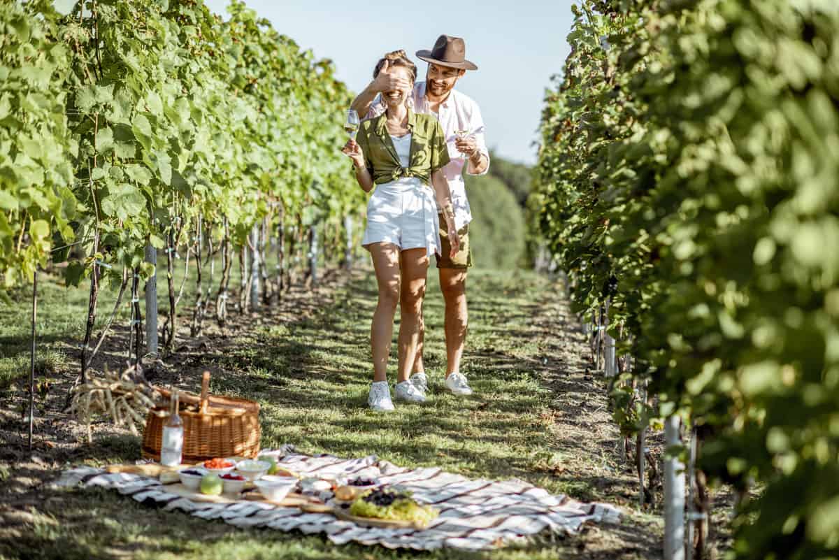 Man surprising his Valentine with a picnic in a vineyard. 