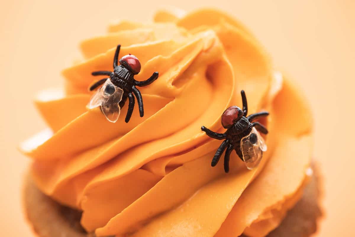 Plastic toy flies on top of orange cup cake frosting. 