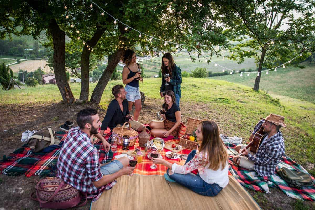 A group of friends enjoying a picnic in the countryside.
