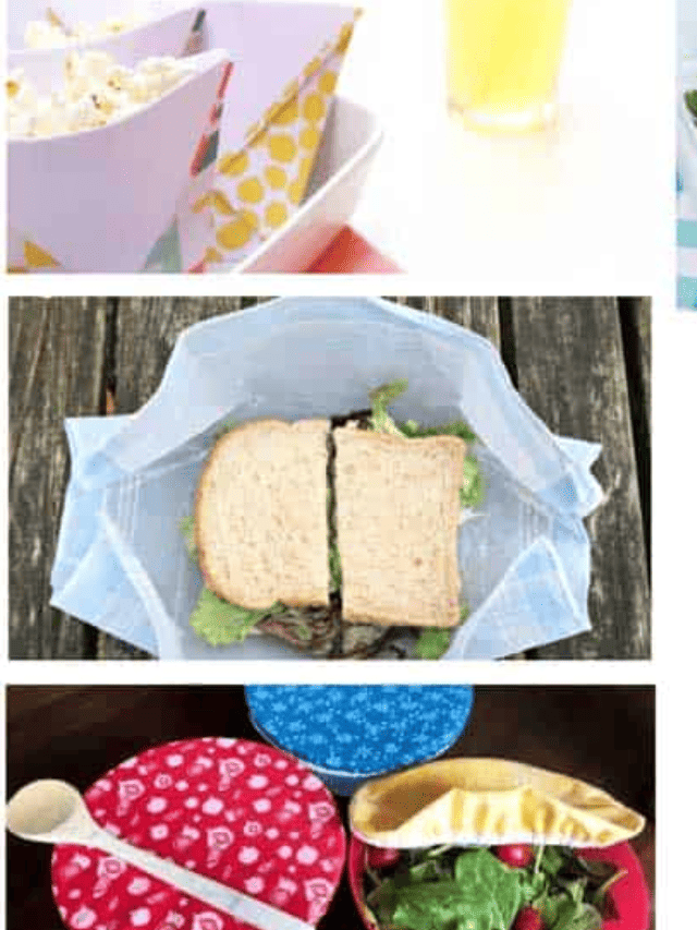 A collage of pictures of lunch boxes with food and utensils.