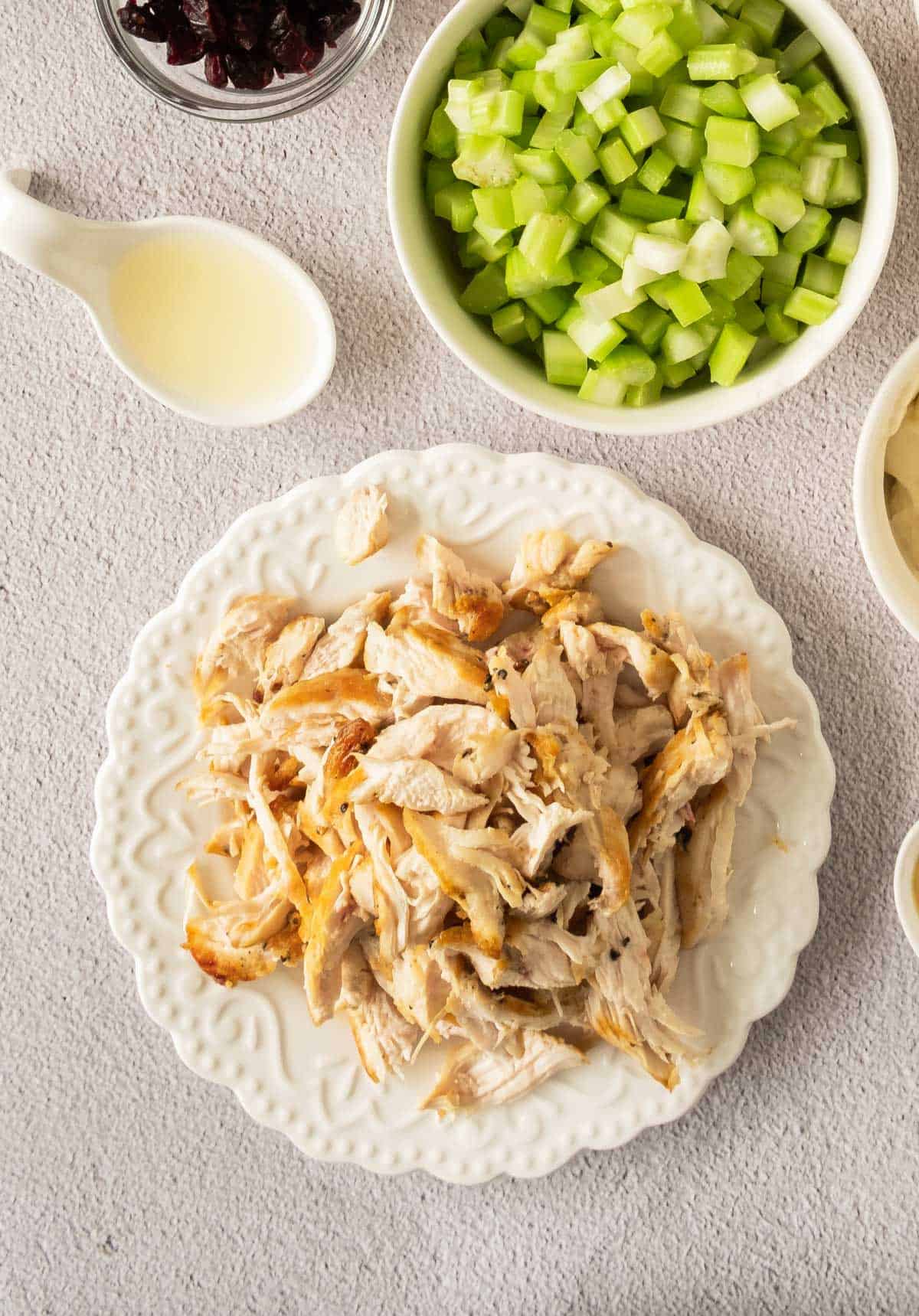Shredded chicken with cranberries and celery on a white plate.