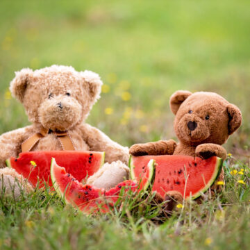 Two teddy bears are sitting in the grass eating watermelon.