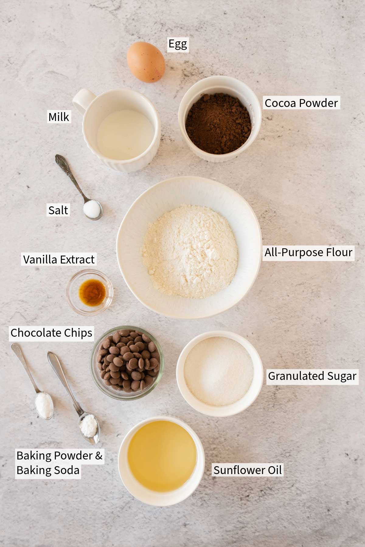Overhead view of various baking ingredients for chocolate cupcakes labeled on a kitchen counter.