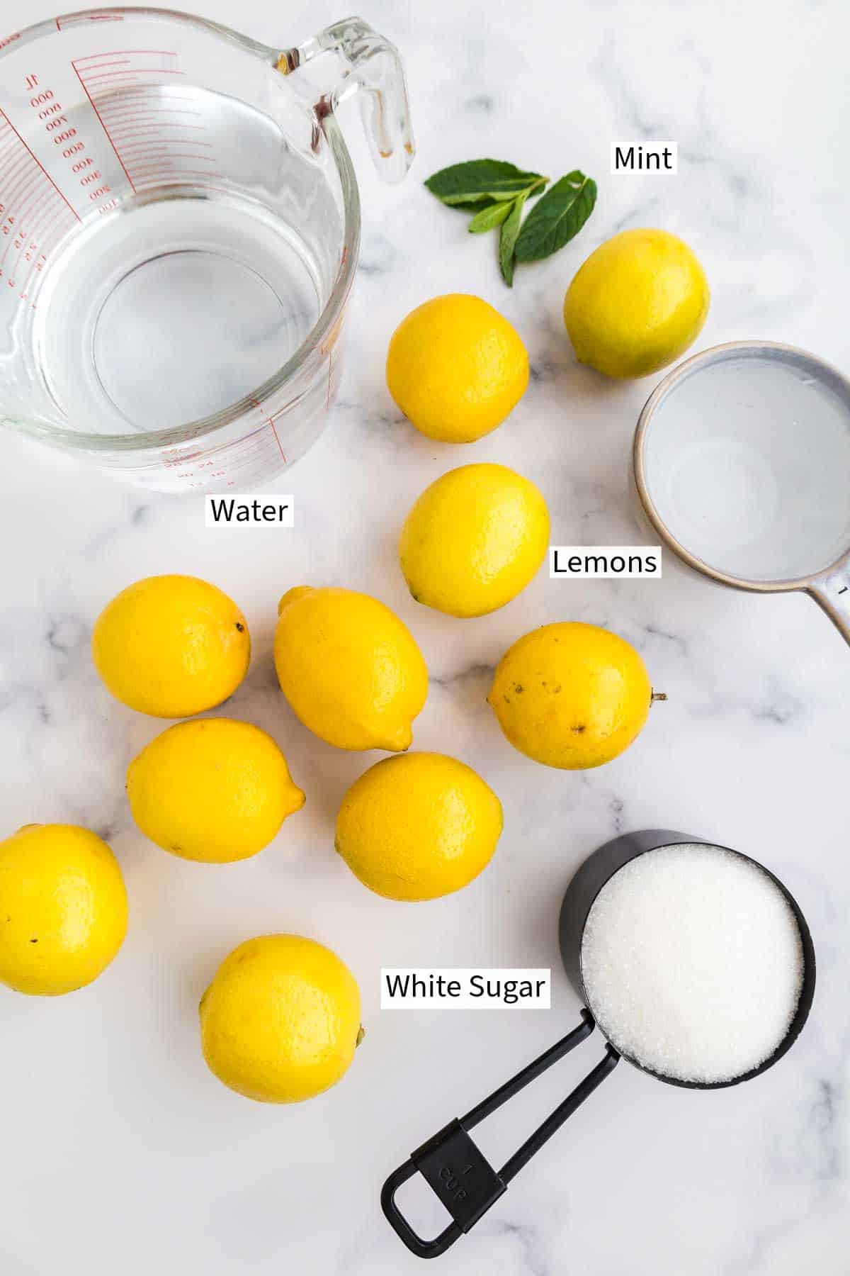 Ingredients for lemonade laid out on a table. 